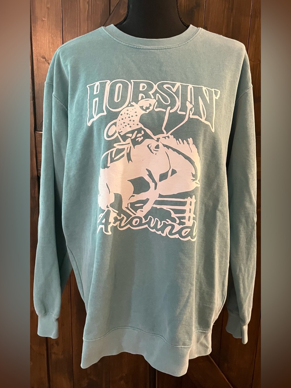 Comfort Colors Women’s Blue Long-sleeve Sweatshirt in Size Med “Horsin’ Around”